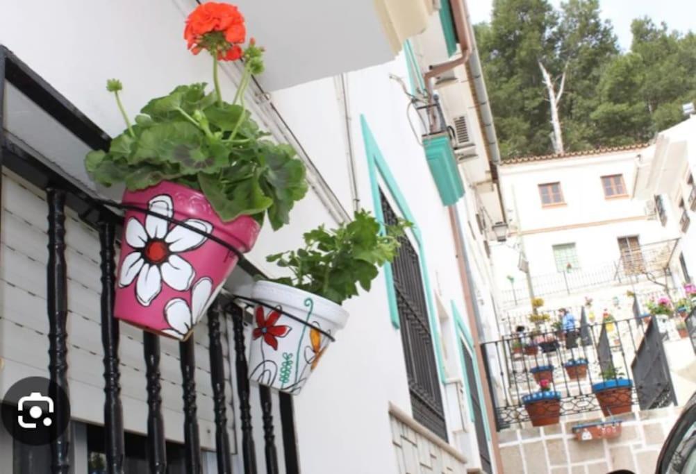 Apartaestudio Villanueva Del Trabuco Kültér fotó