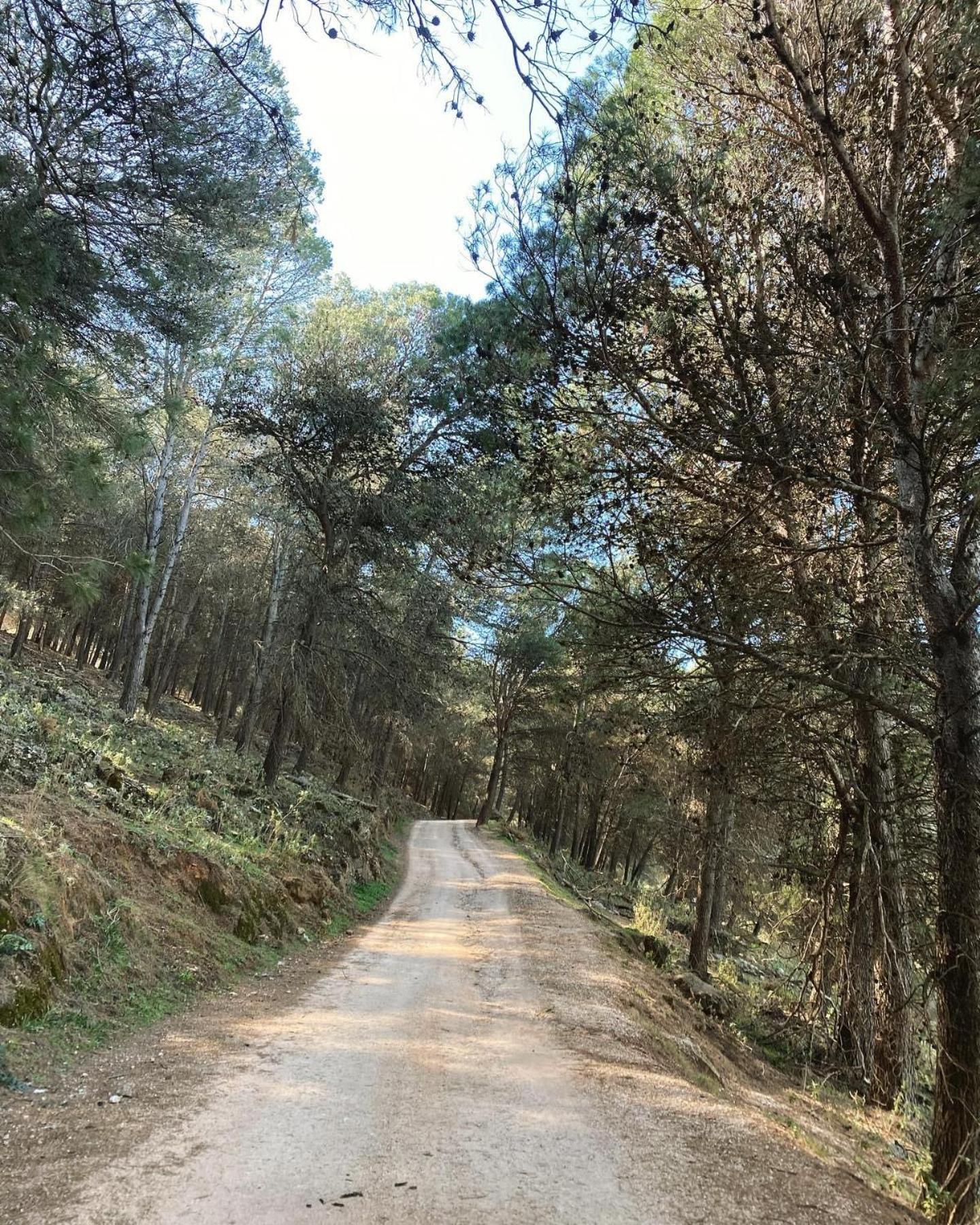 Apartaestudio Villanueva Del Trabuco Kültér fotó